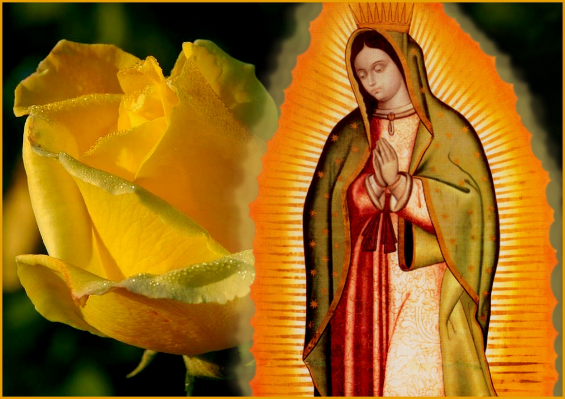 OUR LADY OF GUADALUPE POSTER