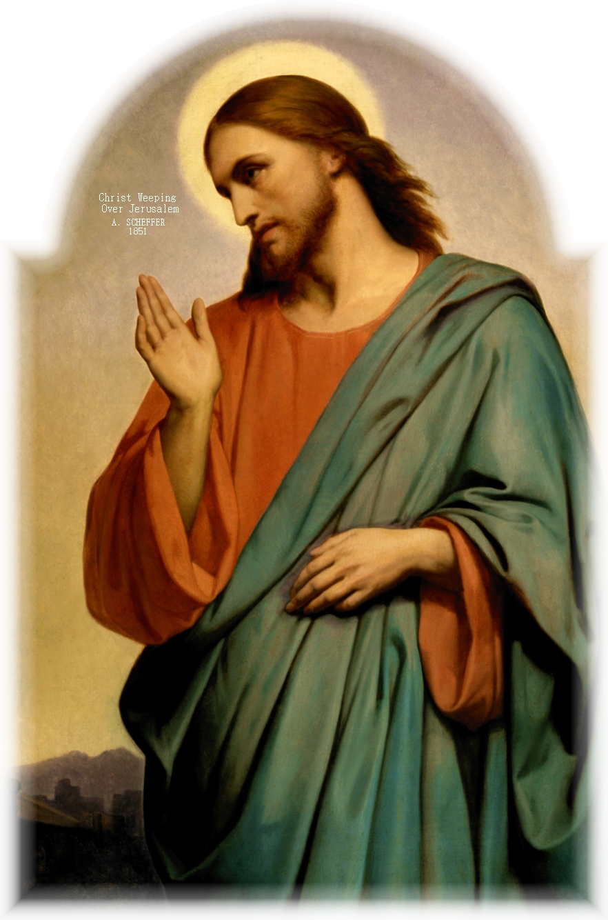 SCHEFFER IMAGE