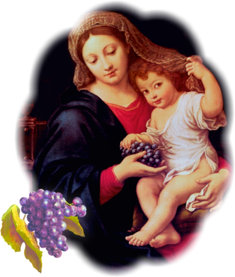 VIRGIN OF THE GRAPES WITH PHOTO EDGE