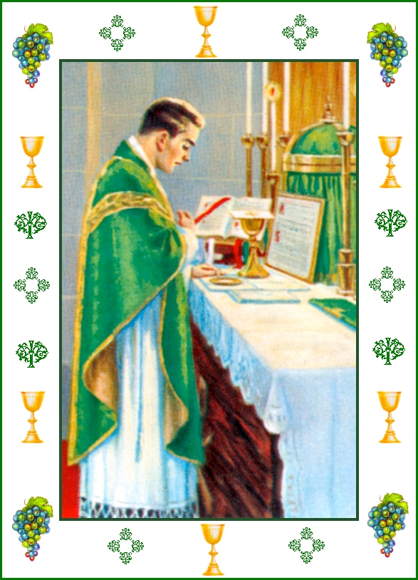 MASS IMAGE 4