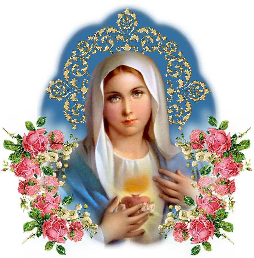 BANNER IMAGE: THE IMMACULATA