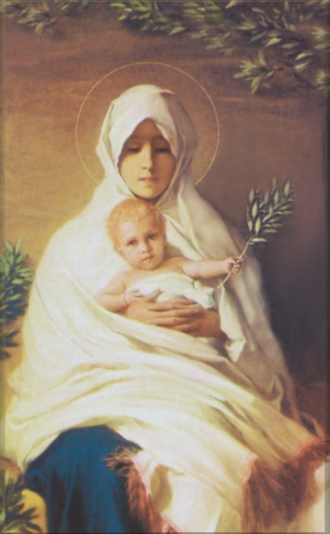 MADONNA OF THE OLIVES: TO VIEW FULLER, CLICK ON THE IMAGE