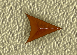 FORWARD