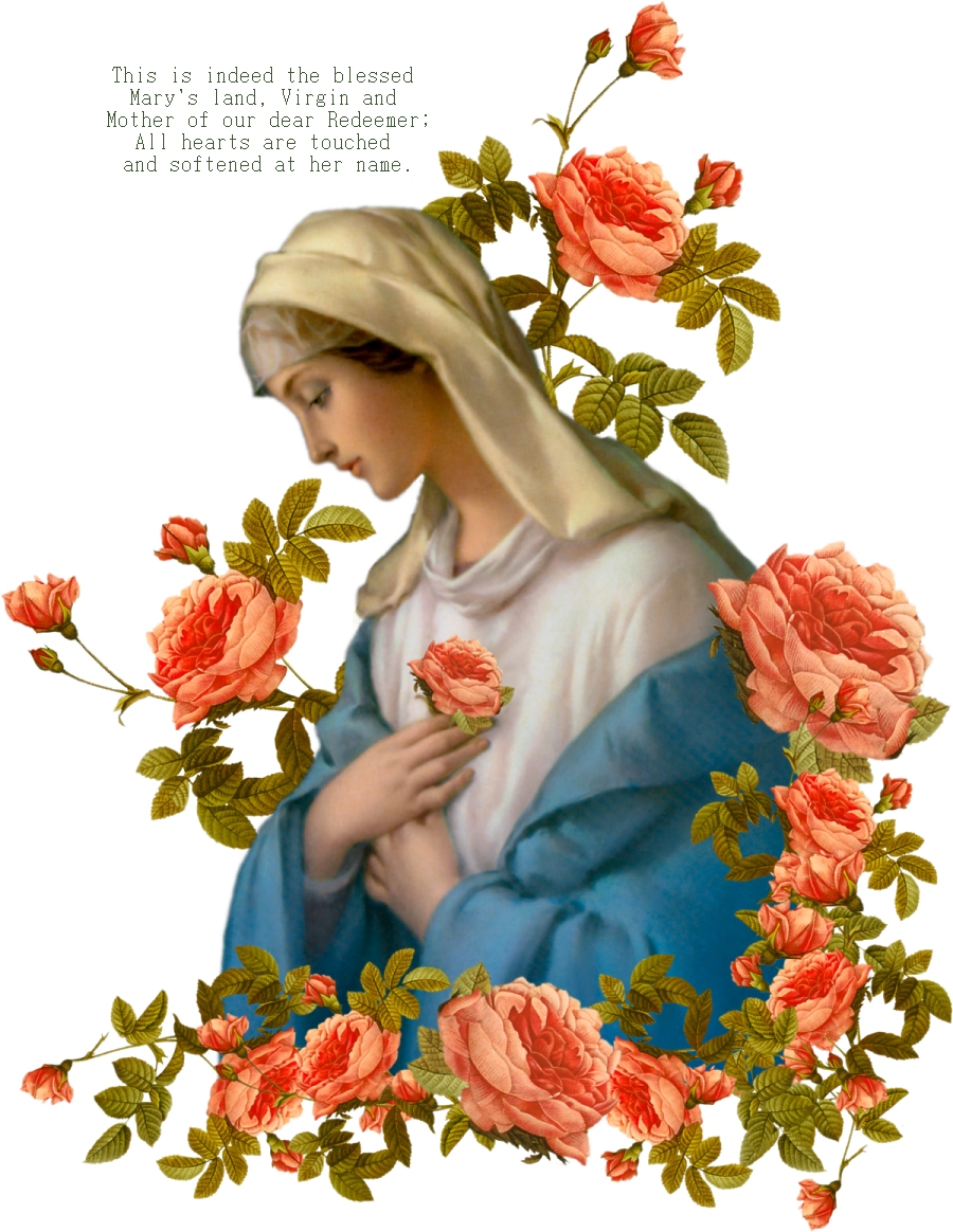 Mystic Rose Virgin Mary 120