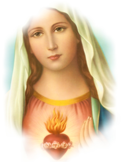 IMMACULATE HEART WITH PHOTO FADE