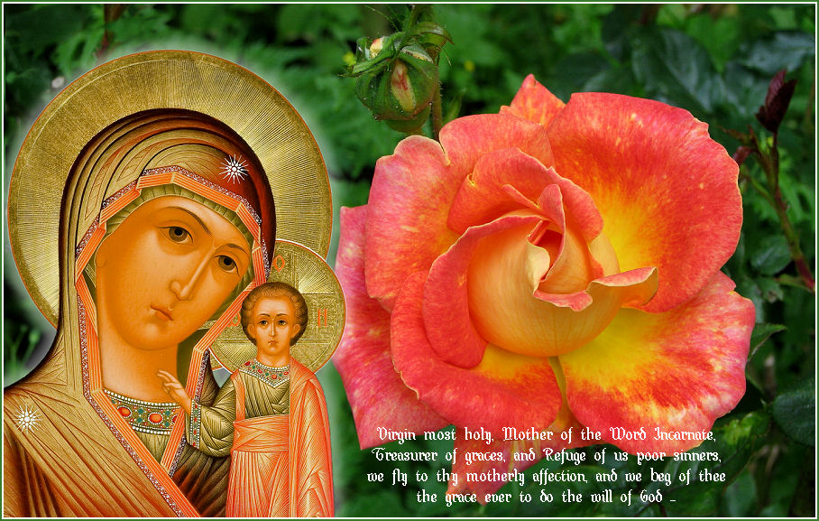 ICON ON ROSE BACKGROUND WITH TEXT